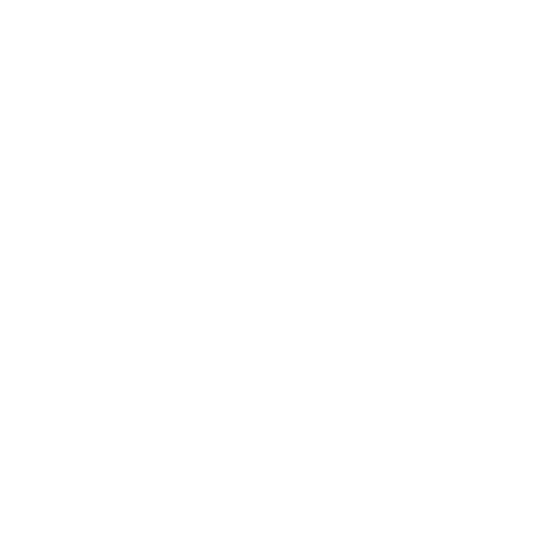 Conecta Saúde